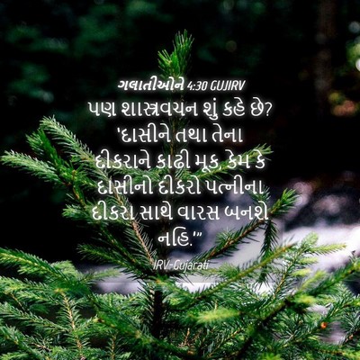 Picture 04 - ગલાતીઓને 4:30 GUJIRV - પણ શાસ્ત્રવચન શું - Bible Verse Picture