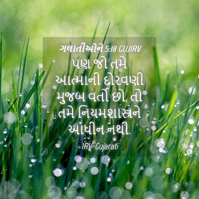 Picture 04 - ગલાતીઓને 5:18 GUJIRV - પણ જો તમે આત્માની - Bible Verse Picture