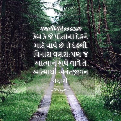 Picture 04 - ગલાતીઓને 6:8 GUJIRV - કેમ કે જે પોતાના - Bible Verse Picture