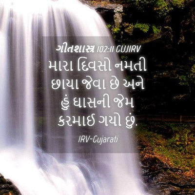 Picture 04 - ગીતશાસ્ત્ર 102:11 GUJIRV - મારા દિવસો નમતી - Bible Verse Picture
