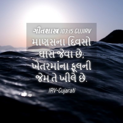 Picture 04 - ગીતશાસ્ત્ર 103:15 GUJIRV - માણસના દિવસો ઘાસ - Bible Verse Picture
