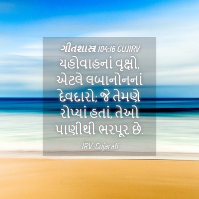 Picture 04 - ગીતશાસ્ત્ર 104:16 GUJIRV - યહોવાહનાં વૃક્ષો, - Bible Verse Picture
