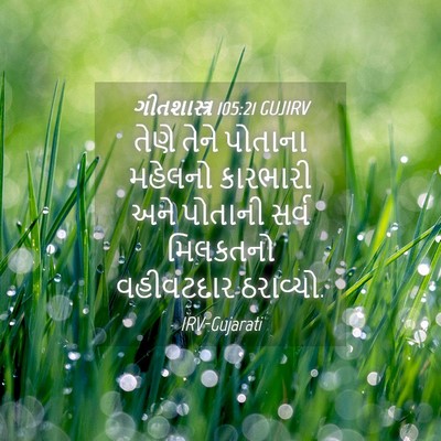 Picture 04 - ગીતશાસ્ત્ર 105:21 GUJIRV - તેણે તેને પોતાના - Bible Verse Picture