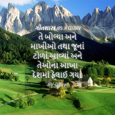 Picture 04 - ગીતશાસ્ત્ર 105:31 GUJIRV - તે બોલ્યા અને - Bible Verse Picture