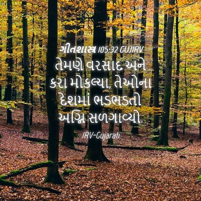 Picture 04 - ગીતશાસ્ત્ર 105:32 GUJIRV - તેમણે વરસાદ અને - Bible Verse Picture