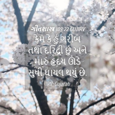 Picture 04 - ગીતશાસ્ત્ર 109:22 GUJIRV - કેમ કે હું ગરીબ તથા - Bible Verse Picture