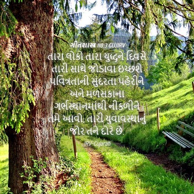 Picture 04 - ગીતશાસ્ત્ર 110:3 GUJIRV - તારા લોકો તારા - Bible Verse Picture