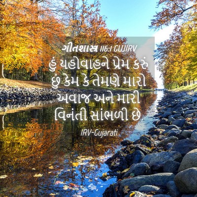 Picture 04 - ગીતશાસ્ત્ર 116:1 GUJIRV - હું યહોવાહને - Bible Verse Picture