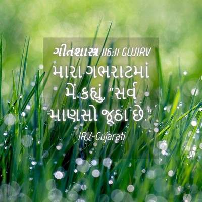Picture 04 - ગીતશાસ્ત્ર 116:11 GUJIRV - મારા ગભરાટમાં મેં - Bible Verse Picture