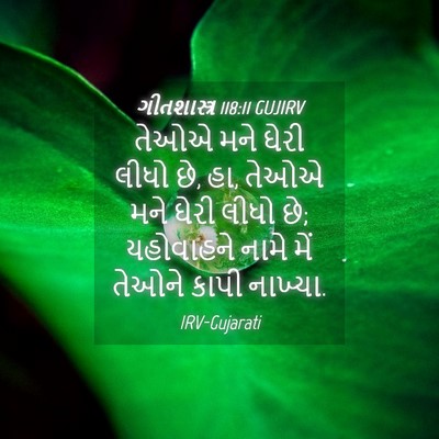 Picture 04 - ગીતશાસ્ત્ર 118:11 GUJIRV - તેઓએ મને ઘેરી લીધો - Bible Verse Picture
