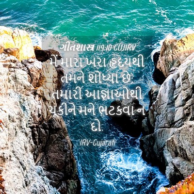 Picture 04 - ગીતશાસ્ત્ર 119:10 GUJIRV - મેં મારા ખરા - Bible Verse Picture