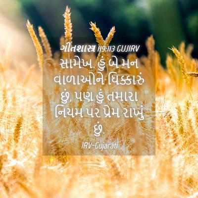 Picture 04 - ગીતશાસ્ત્ર 119:113 GUJIRV - સામેખ. હું બે મન - Bible Verse Picture