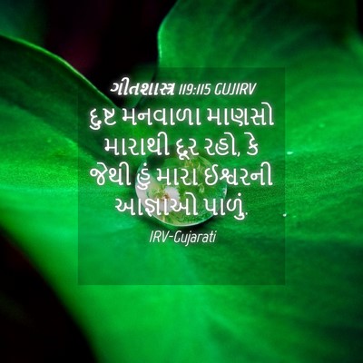 Picture 04 - ગીતશાસ્ત્ર 119:115 GUJIRV - દુષ્ટ મનવાળા - Bible Verse Picture