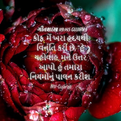 Picture 04 - ગીતશાસ્ત્ર 119:145 GUJIRV - કોફ. મેં ખરા હૃદયથી - Bible Verse Picture
