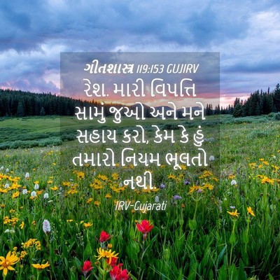 Picture 04 - ગીતશાસ્ત્ર 119:153 GUJIRV - રેશ. મારી વિપત્તિ - Bible Verse Picture