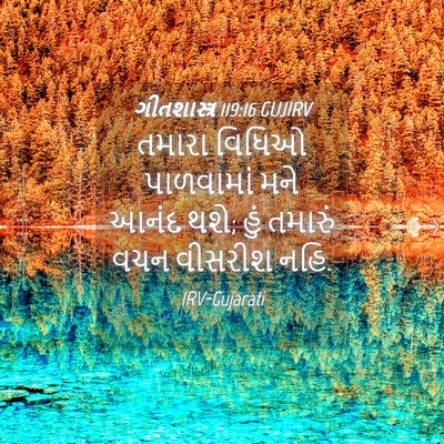 Picture 04 - ગીતશાસ્ત્ર 119:16 GUJIRV - તમારા વિધિઓ - Bible Verse Picture