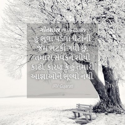 Picture 04 - ગીતશાસ્ત્ર 119:176 GUJIRV - હું ભૂલા પડેલા - Bible Verse Picture
