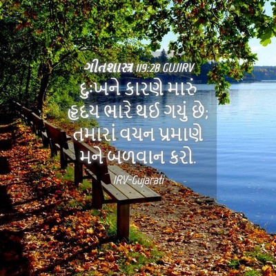 Picture 04 - ગીતશાસ્ત્ર 119:28 GUJIRV - દુઃખને કારણે - Bible Verse Picture
