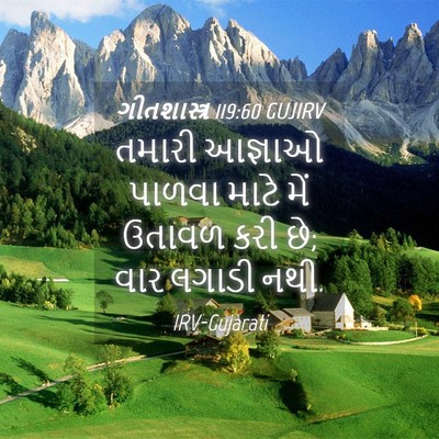 Picture 04 - ગીતશાસ્ત્ર 119:60 GUJIRV - તમારી આજ્ઞાઓ - Bible Verse Picture