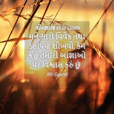 Picture 04 - ગીતશાસ્ત્ર 119:66 GUJIRV - મને સારો વિવેક તથા - Bible Verse Picture