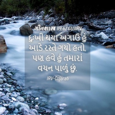 Picture 04 - ગીતશાસ્ત્ર 119:67 GUJIRV - દુઃખી થયા અગાઉ હું - Bible Verse Picture