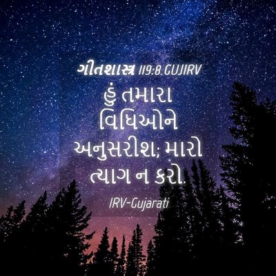 Picture 04 - ગીતશાસ્ત્ર 119:8 GUJIRV - હું તમારા વિધિઓને - Bible Verse Picture