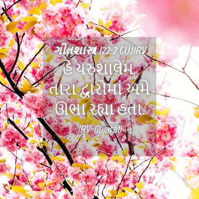 Picture 04 - ગીતશાસ્ત્ર 122:2 GUJIRV - હે યરુશાલેમ, તારા - Bible Verse Picture