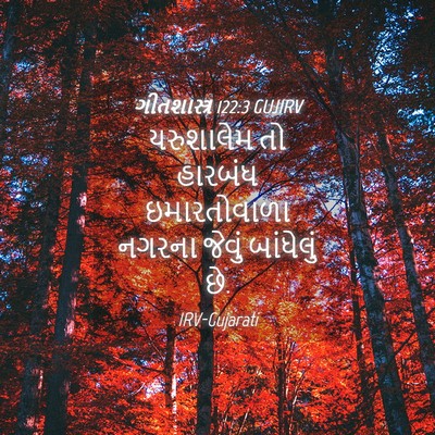 Picture 04 - ગીતશાસ્ત્ર 122:3 GUJIRV - યરુશાલેમ તો - Bible Verse Picture