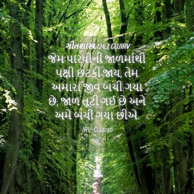 Picture 04 - ગીતશાસ્ત્ર 124:7 GUJIRV - જેમ પારધીની - Bible Verse Picture