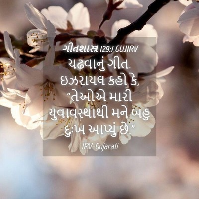 Picture 04 - ગીતશાસ્ત્ર 129:1 GUJIRV - ચઢવાનું ગીત. - Bible Verse Picture