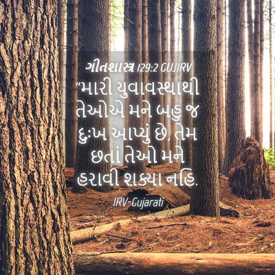 Picture 04 - ગીતશાસ્ત્ર 129:2 GUJIRV - “મારી યુવાવસ્થાથી - Bible Verse Picture