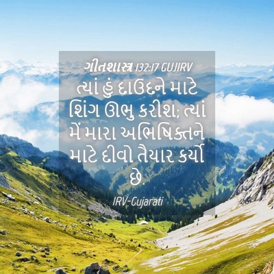 Picture 04 - ગીતશાસ્ત્ર 132:17 GUJIRV - ત્યાં હું દાઉદને - Bible Verse Picture