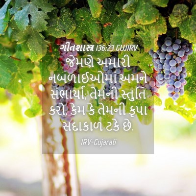 Picture 04 - ગીતશાસ્ત્ર 136:23 GUJIRV - જેમણે અમારી - Bible Verse Picture