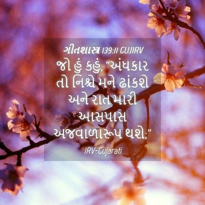Picture 04 - ગીતશાસ્ત્ર 139:11 GUJIRV - જો હું કહું, - Bible Verse Picture