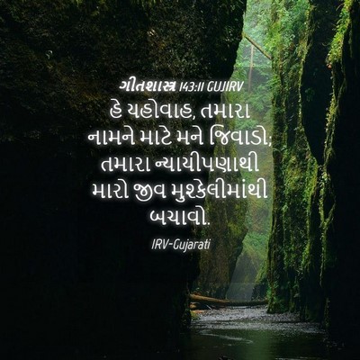 Picture 04 - ગીતશાસ્ત્ર 143:11 GUJIRV - હે યહોવાહ, તમારા - Bible Verse Picture