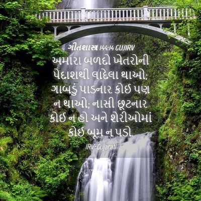 Picture 04 - ગીતશાસ્ત્ર 144:14 GUJIRV - અમારા બળદો - Bible Verse Picture