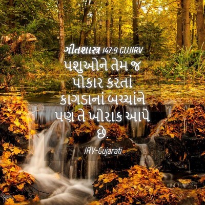 Picture 04 - ગીતશાસ્ત્ર 147:9 GUJIRV - પશુઓને તેમ જ પોકાર - Bible Verse Picture