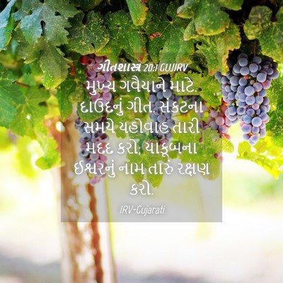 Picture 04 - ગીતશાસ્ત્ર 20:1 GUJIRV - મુખ્ય ગવૈયાને - Bible Verse Picture