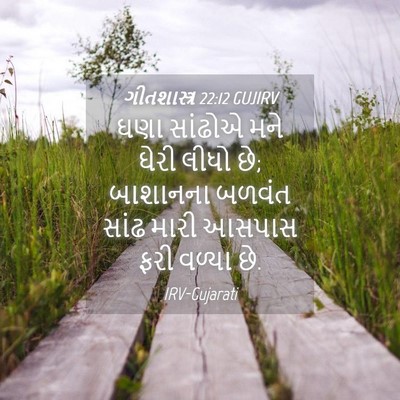 Picture 04 - ગીતશાસ્ત્ર 22:12 GUJIRV - ઘણા સાંઢોએ મને - Bible Verse Picture