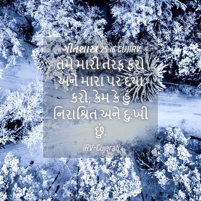 Picture 04 - ગીતશાસ્ત્ર 25:16 GUJIRV - તમે મારી તરફ ફરો - Bible Verse Picture