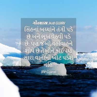 Picture 04 - ગીતશાસ્ત્ર 34:10 GUJIRV - સિંહનાં બચ્ચાંને - Bible Verse Picture