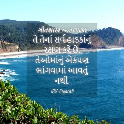 Picture 04 - ગીતશાસ્ત્ર 34:20 GUJIRV - તે તેનાં સર્વ - Bible Verse Picture