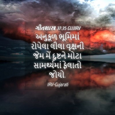 Picture 04 - ગીતશાસ્ત્ર 37:35 GUJIRV - અનુકૂળ ભૂમિમાં - Bible Verse Picture