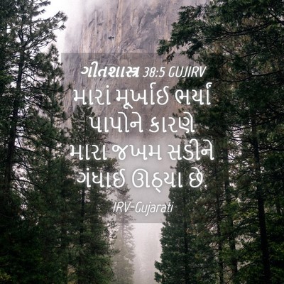Picture 04 - ગીતશાસ્ત્ર 38:5 GUJIRV - મારાં મૂર્ખાઈ - Bible Verse Picture