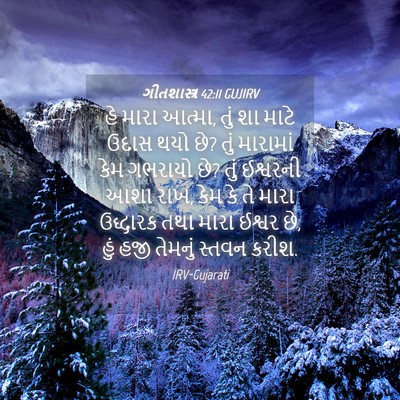 Picture 04 - ગીતશાસ્ત્ર 42:11 GUJIRV - હે મારા આત્મા, તું - Bible Verse Picture