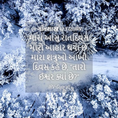 Picture 04 - ગીતશાસ્ત્ર 42:3 GUJIRV - મારાં આંસુ - Bible Verse Picture
