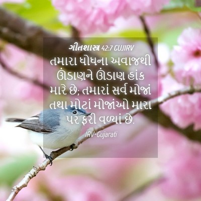 Picture 04 - ગીતશાસ્ત્ર 42:7 GUJIRV - તમારા ધોધના - Bible Verse Picture