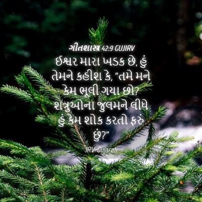 Picture 04 - ગીતશાસ્ત્ર 42:9 GUJIRV - ઈશ્વર મારા ખડક છે, - Bible Verse Picture