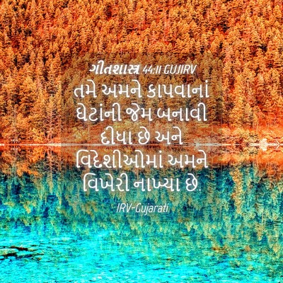 Picture 04 - ગીતશાસ્ત્ર 44:11 GUJIRV - તમે અમને કાપવાનાં - Bible Verse Picture