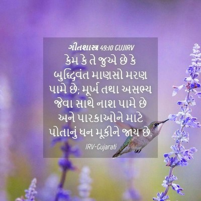 Picture 04 - ગીતશાસ્ત્ર 49:10 GUJIRV - કેમ કે તે જુએ છે કે - Bible Verse Picture